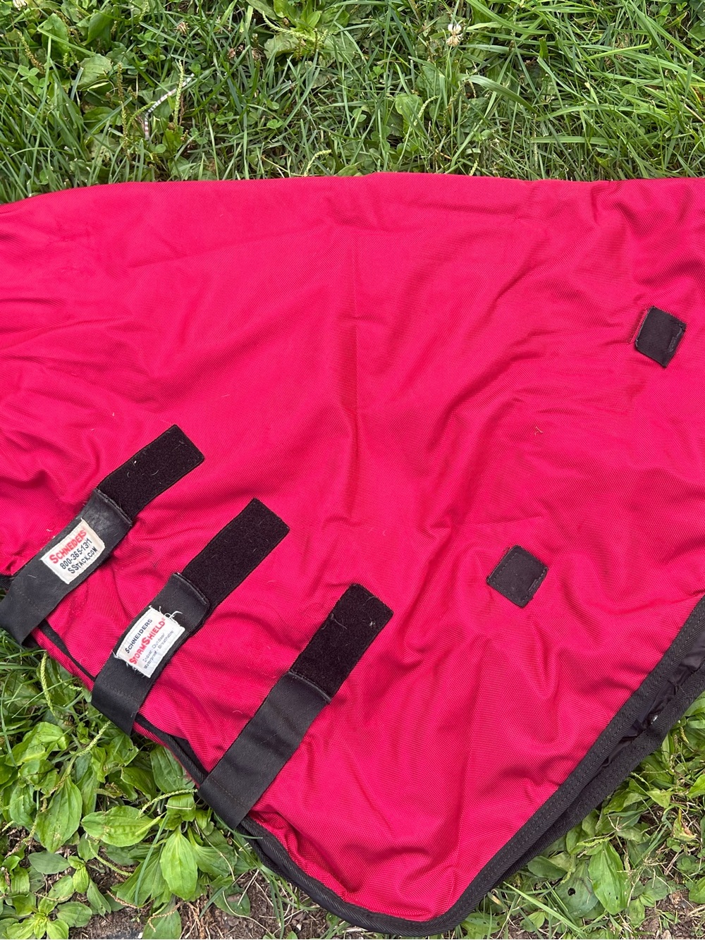 Large medium weight turnout neck